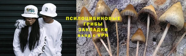 альфа пвп Горно-Алтайск
