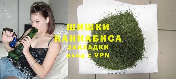 дживик Горнозаводск